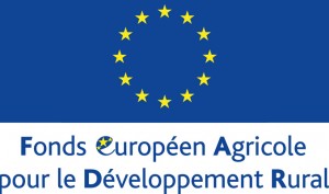 FEADER_Ayudas_Focal_2015