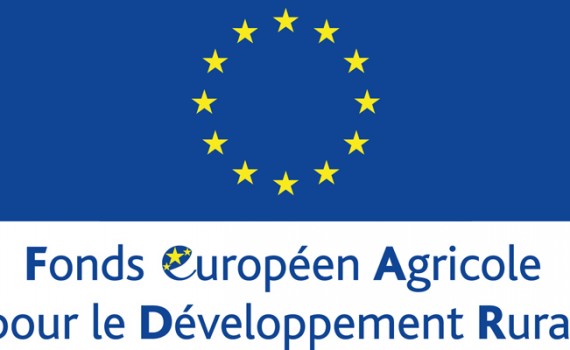 FEADER_Ayudas_Focal_2015